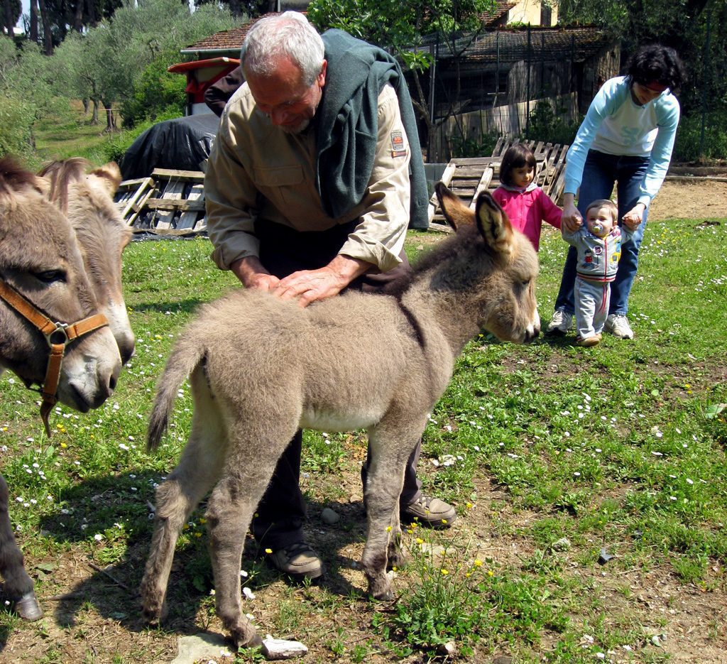 Camilla cresce, e l’anno prossimo?