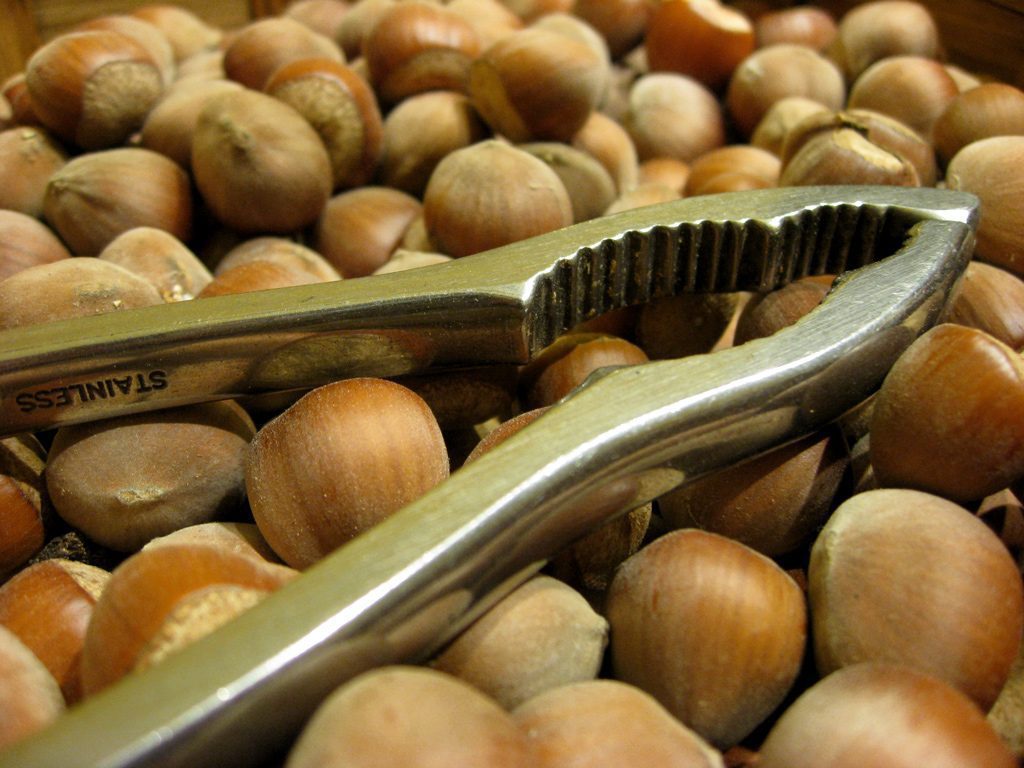 Nocciole per l’inverno