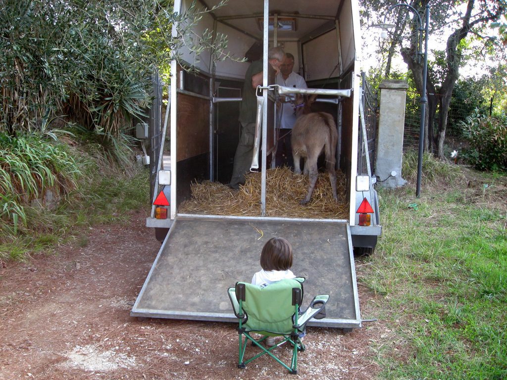 La prima di “Camilla è partita” registra il tutto esaurito