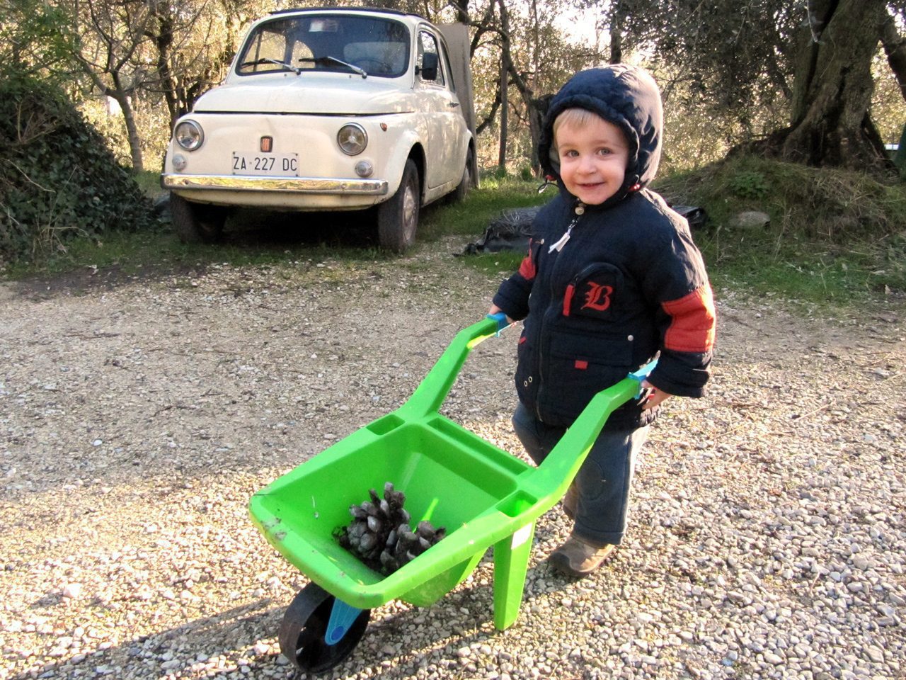 OGM, oramai sappiamo tutto