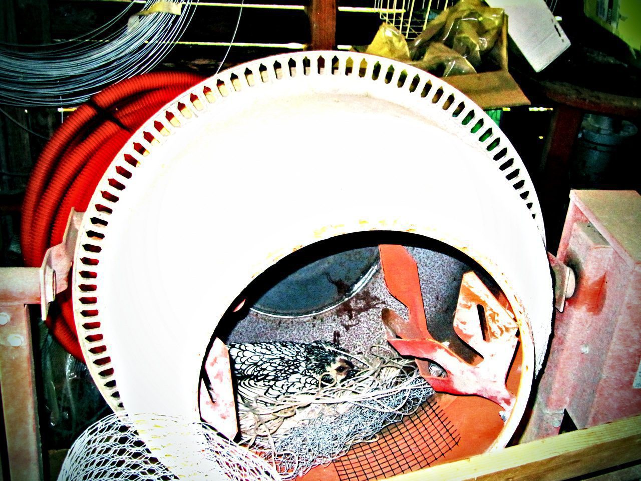 Frittate a Chilometro Zero