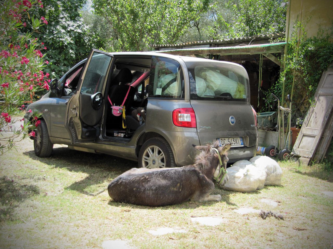 Vengo anch’io, no tu no!