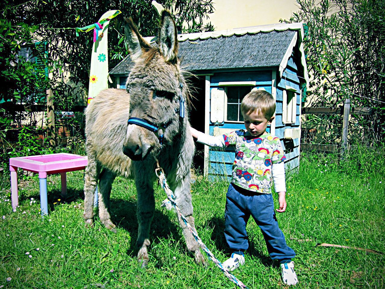 Arturo è andato a stare bene