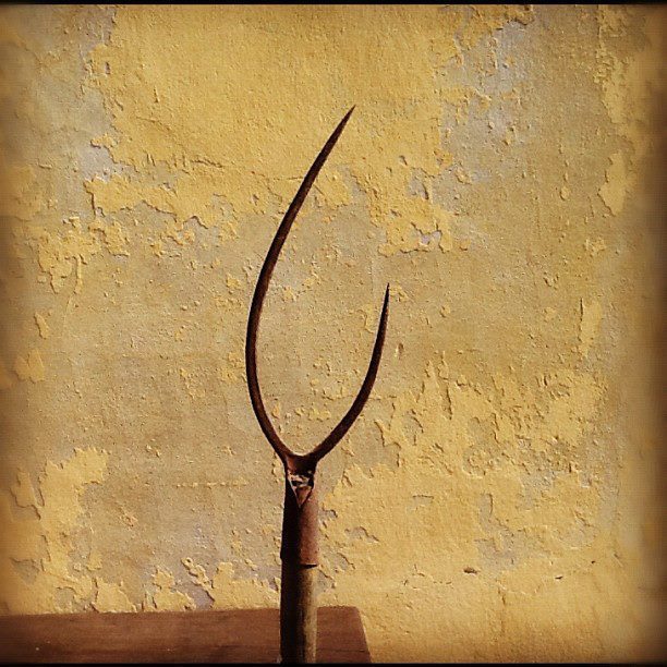 Indovinello: A cosa Serve?