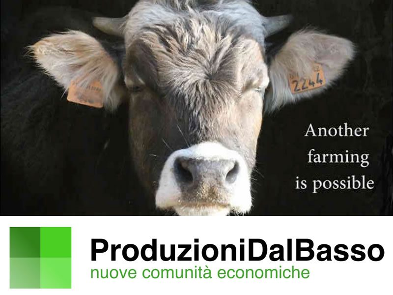 Diventa produttore di un Film con Produzioni dal basso