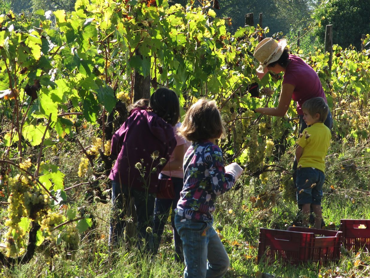 Agricoltura Contadina, Proposta di Legge