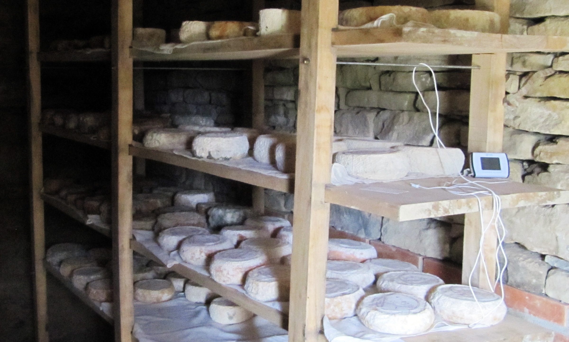 Formaggi con latte in Polvere o Polverone mediatico?