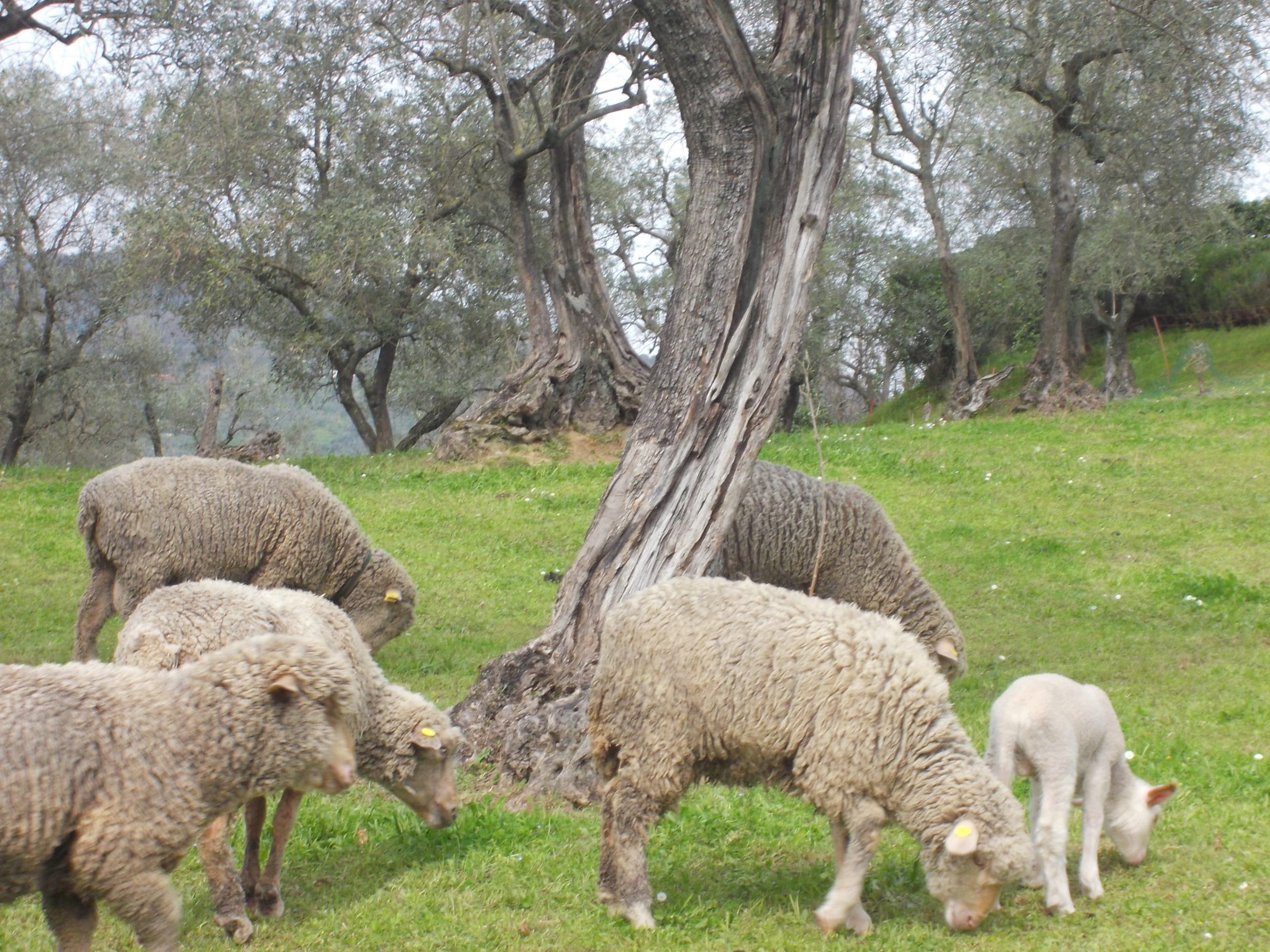 Bisogna ripartire…